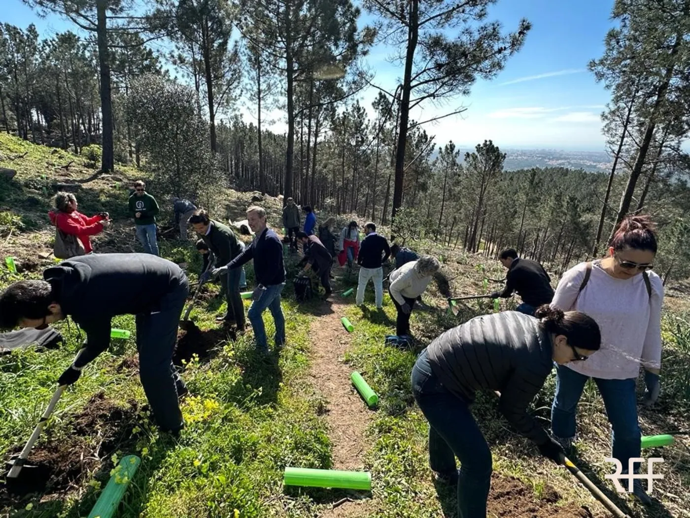 A equipa RFF numa ação solidária na Serra de Sintra