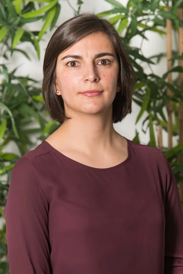RFF reinforces Tax Litigation 
