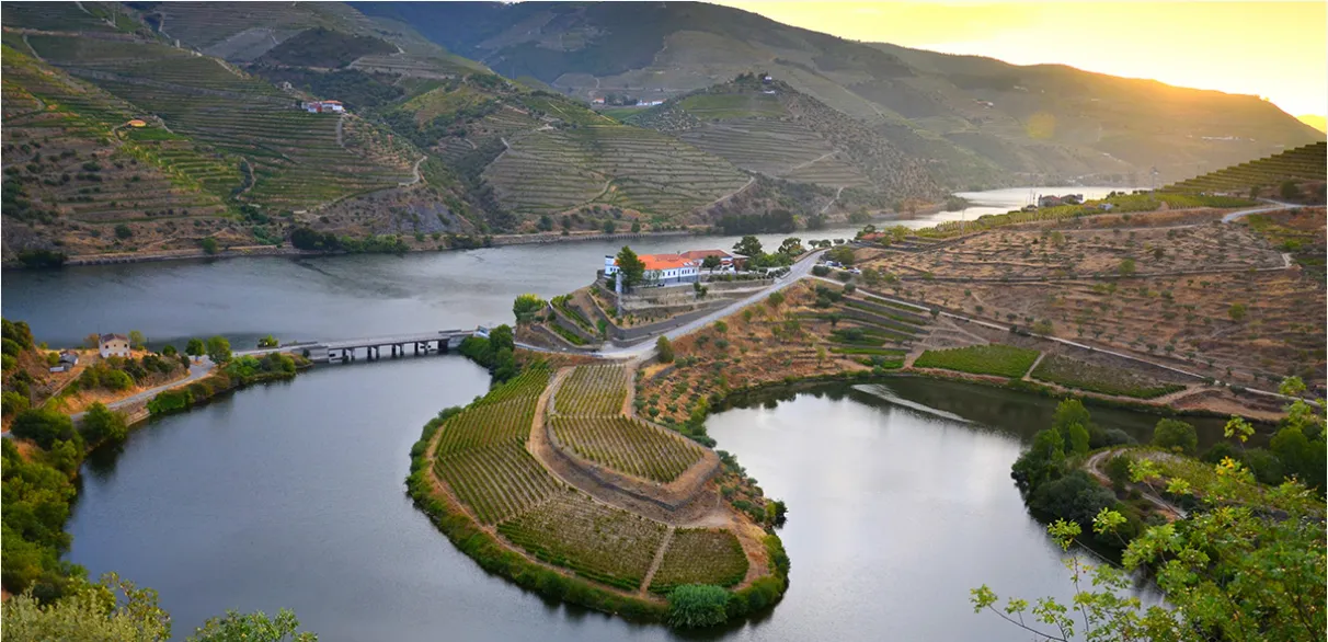 RFF Running Club na Meia Maratona do Douro Vinhateiro