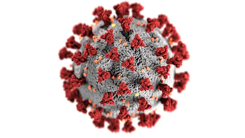 Exceptional Measures Regarding the Pandemic of SARS-COV-2 (Covid-19) (I)
